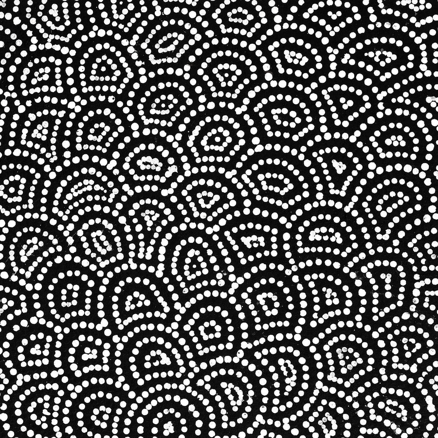 Aboriginal Artwork by Leavannia Nampijinpa Watson, Ngapa Jukurrpa (Water Dreaming) - Puyurru, 76x46cm
