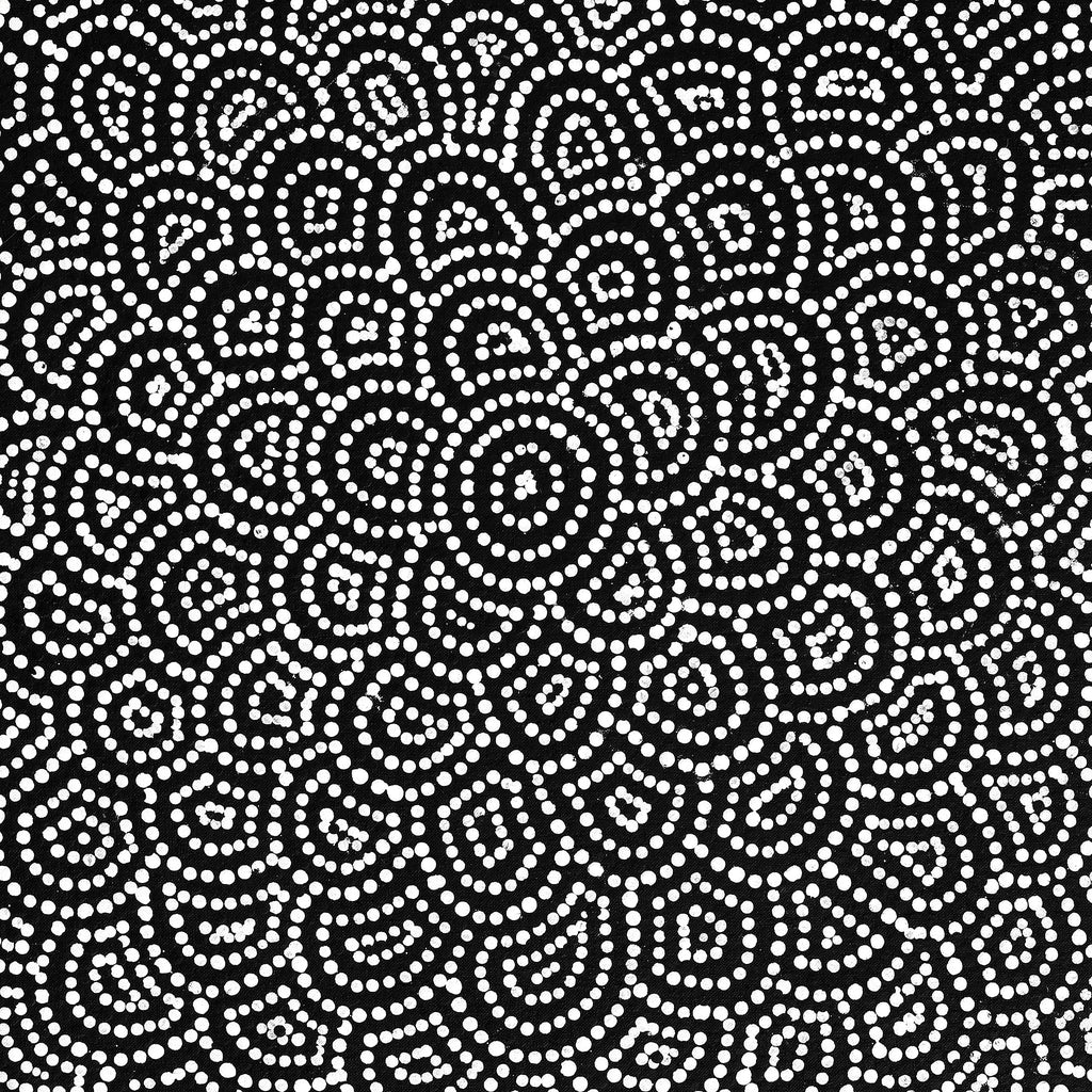 Aboriginal Artwork by Leavannia Nampijinpa Watson, Ngapa Jukurrpa (Water Dreaming) - Puyurru, 76x46cm