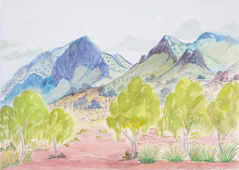 Aboriginal Artwork by Lenie Namatjira Lankin, Haasts Bluff, 32.5x23cm