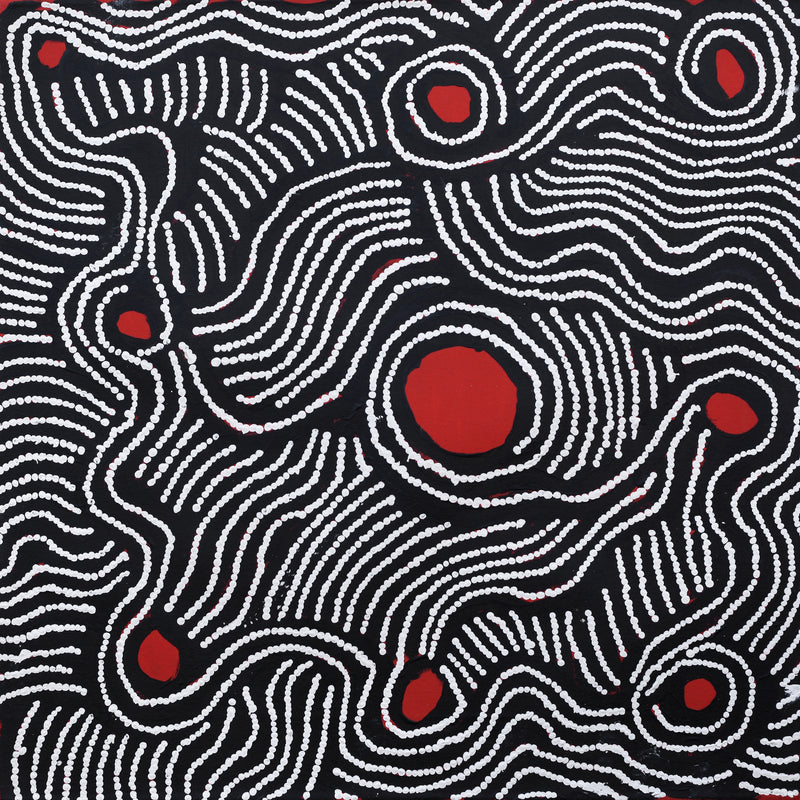 Aboriginal Artwork by Leonie Napaltjarri Kamutu, Papa Tjukurrpa (Dog Dreaming), 60x60cm