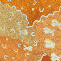 Aboriginal Artwork by Leonie Napaltjarri Kamutu, Talapa at Lingakurra, 122x46cm