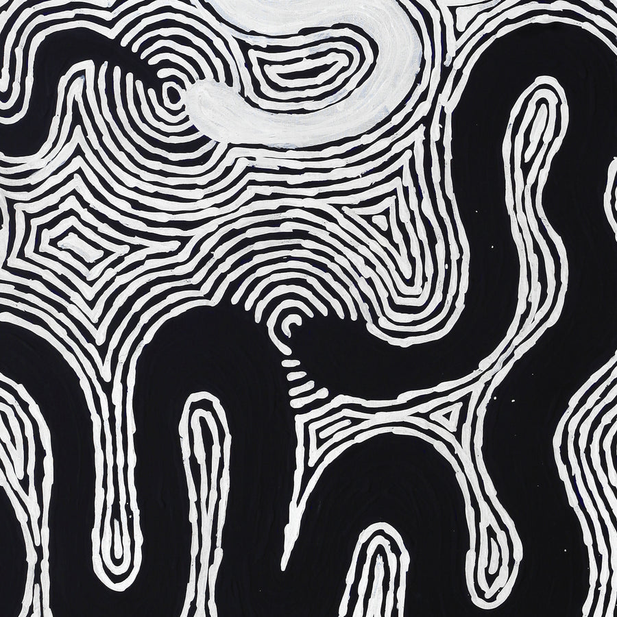 Aboriginal Artwork by Leston Japaljarri Spencer, Warna Jukurrpa (Snake Dreaming), 91x76cm