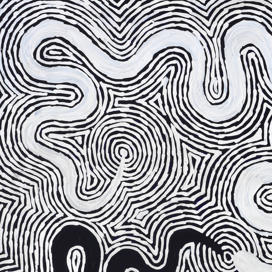 Aboriginal Artwork by Leston Japaljarri Spencer, Warna Jukurrpa (Snake Dreaming), 91x76cm