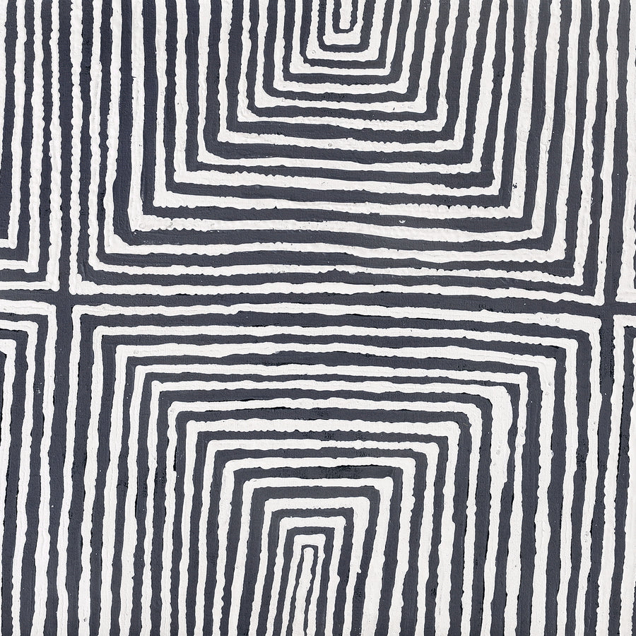 Aboriginal Artwork by Letisha Napanangka Marshall, Ngapa Jukurrpa (Water Dreaming) - Puyurru, 152x61cm