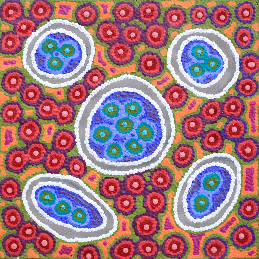 Aboriginal Artwork by Letitia Nungarrayi Bartlett, Winparrku - Mt Webb Dreaming, 30x30cm
