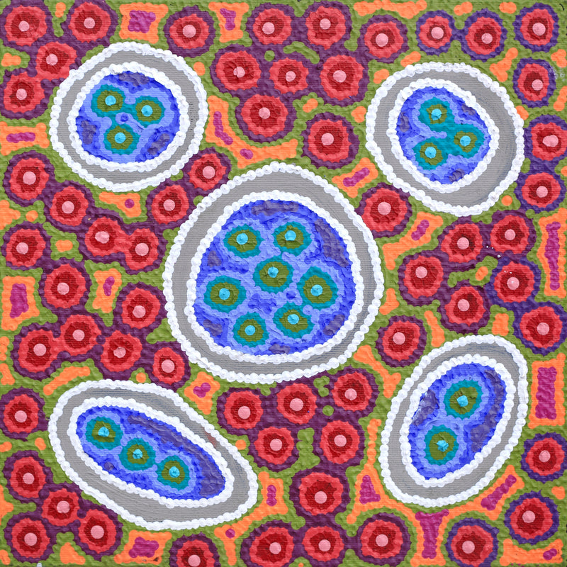 Aboriginal Artwork by Letitia Nungarrayi Bartlett, Winparrku - Mt Webb Dreaming, 30x30cm