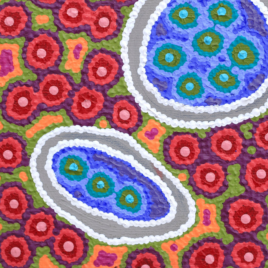 Aboriginal Artwork by Letitia Nungarrayi Bartlett, Winparrku - Mt Webb Dreaming, 30x30cm