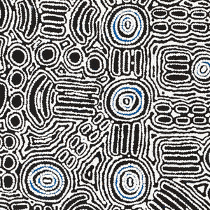 Aboriginal Art by Letoya Nakamarra Curtis, Yarla Jukurrpa (Bush Potato Dreaming) - Cockatoo Creek, 91x61cm - ART ARK®