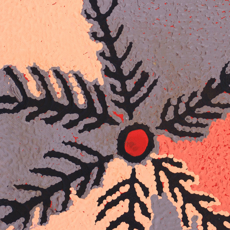 Aboriginal Artwork by Liddy Napanangka Walker, Wakirlpirri Jukurrpa (Dogwood Tree Dreaming), 30.5x30.5cm