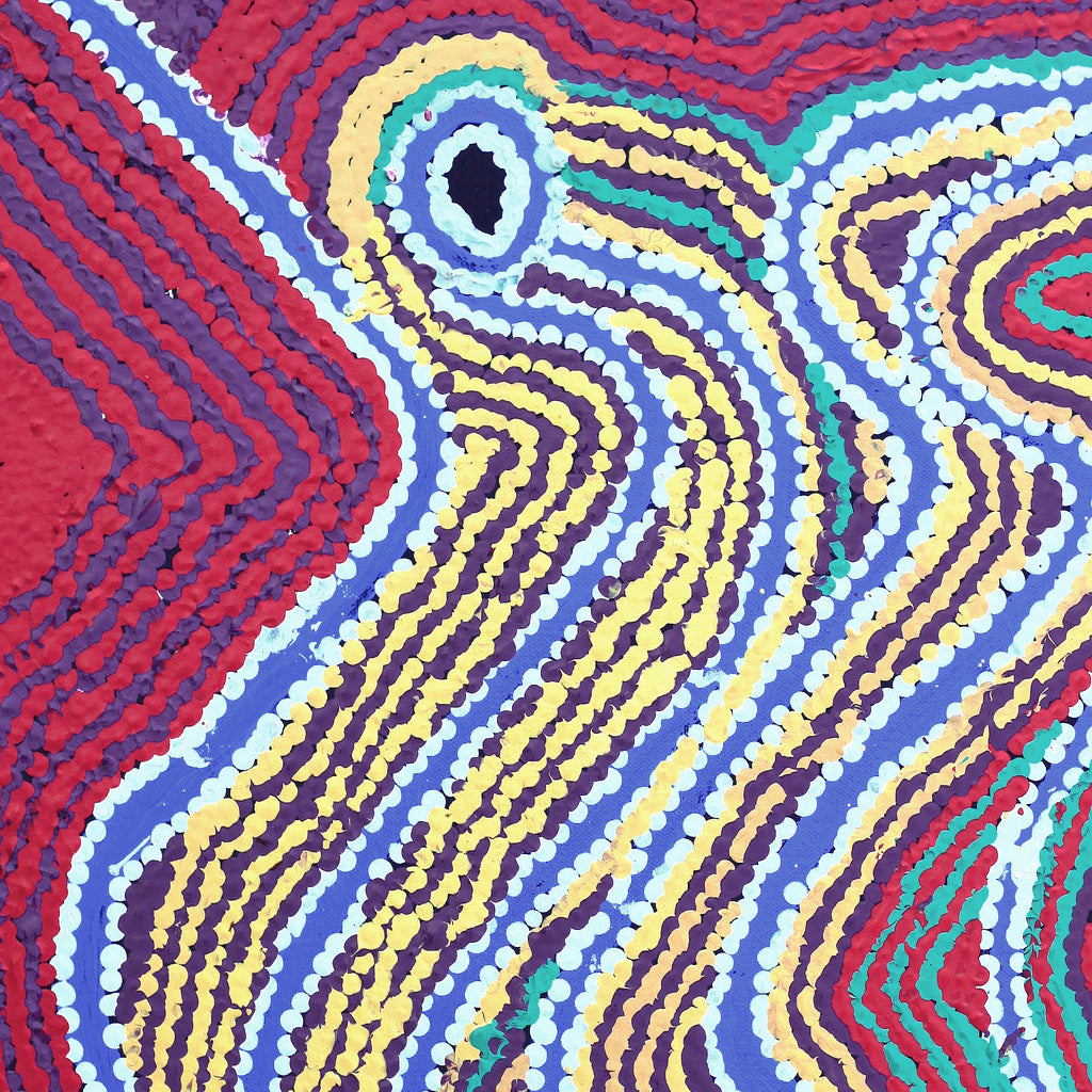 Aboriginal Artwork by Liddy Napanangka Walker, Wakirlpirri Jukurrpa (Dogwood Tree Dreaming), 46x46cm - ART ARK®