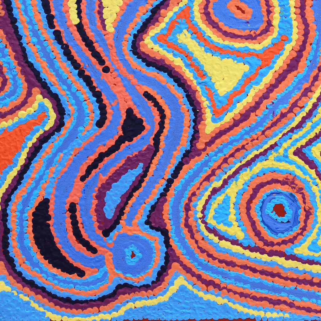 Aboriginal Artwork by Liddy Napanangka Walker, Wakirlpirri Jukurrpa (Dogwood Tree Dreaming), 61x46cm