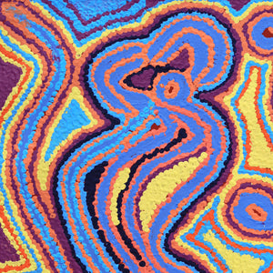 Aboriginal Artwork by Liddy Napanangka Walker, Wakirlpirri Jukurrpa (Dogwood Tree Dreaming), 61x46cm - ART ARK®