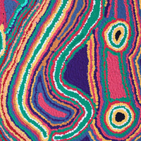 Aboriginal Artwork by Liddy Napanangka Walker, Wakirlpirri Jukurrpa (Dogwood Tree Dreaming), 61x46cm