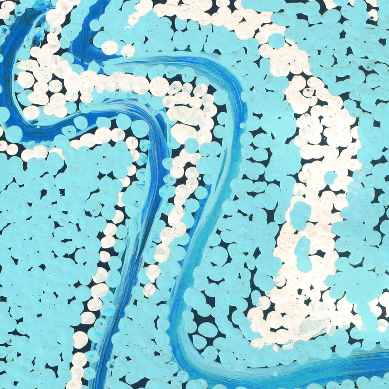 Aboriginal Artwork by Liddy Napanangka Walker, Puturlu Jukurrpa (Mt Theo Dreaming), 30x30cm