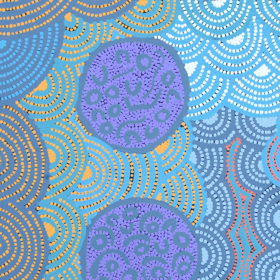 Aboriginal Artwork by Linda Napaljarri James, Marapinti Jukurrpa, 76x61cm