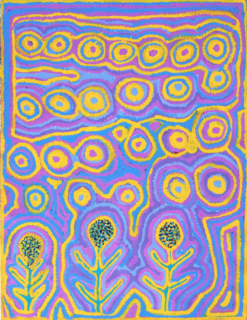 Aboriginal Artwork by Linda Ngitjanka, Yawalyurru at Alkipi, 91x70cm