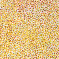Aboriginal Artwork by Linda Ngitjanka, Grevillea & Puli, 122x71cm