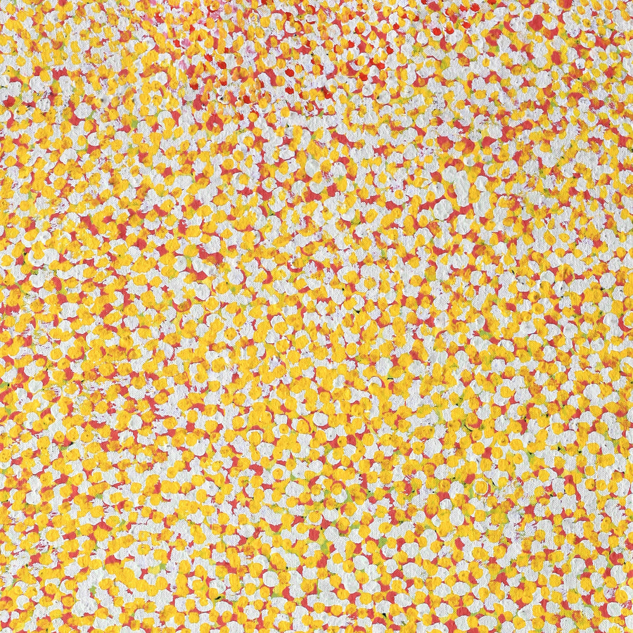 Aboriginal Artwork by Linda Ngitjanka, Grevillea & Puli, 122x71cm