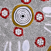 Aboriginal Artwork by Lindy Nangala Briscoe, Karnta Jukurrpa (Womens Dreaming), 40x40cm