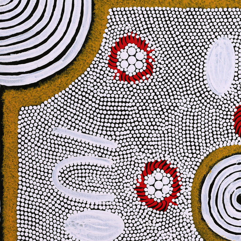 Aboriginal Artwork by Lindy Nangala Briscoe, Karnta Jukurrpa (Womens Dreaming), 40x40cm