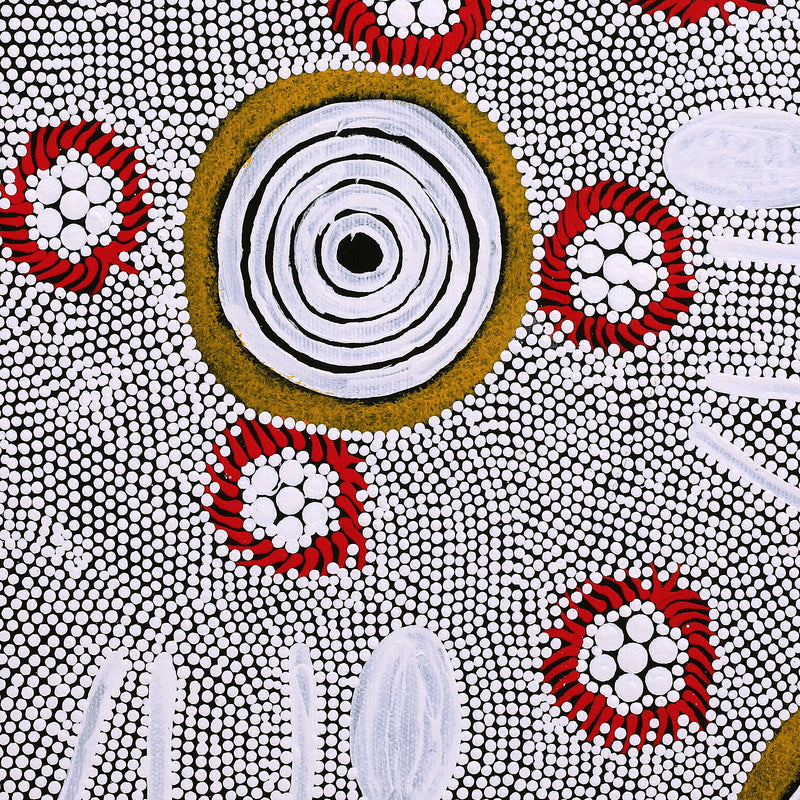 Aboriginal Artwork by Lindy Nangala Briscoe, Karnta Jukurrpa (Womens Dreaming), 40x40cm