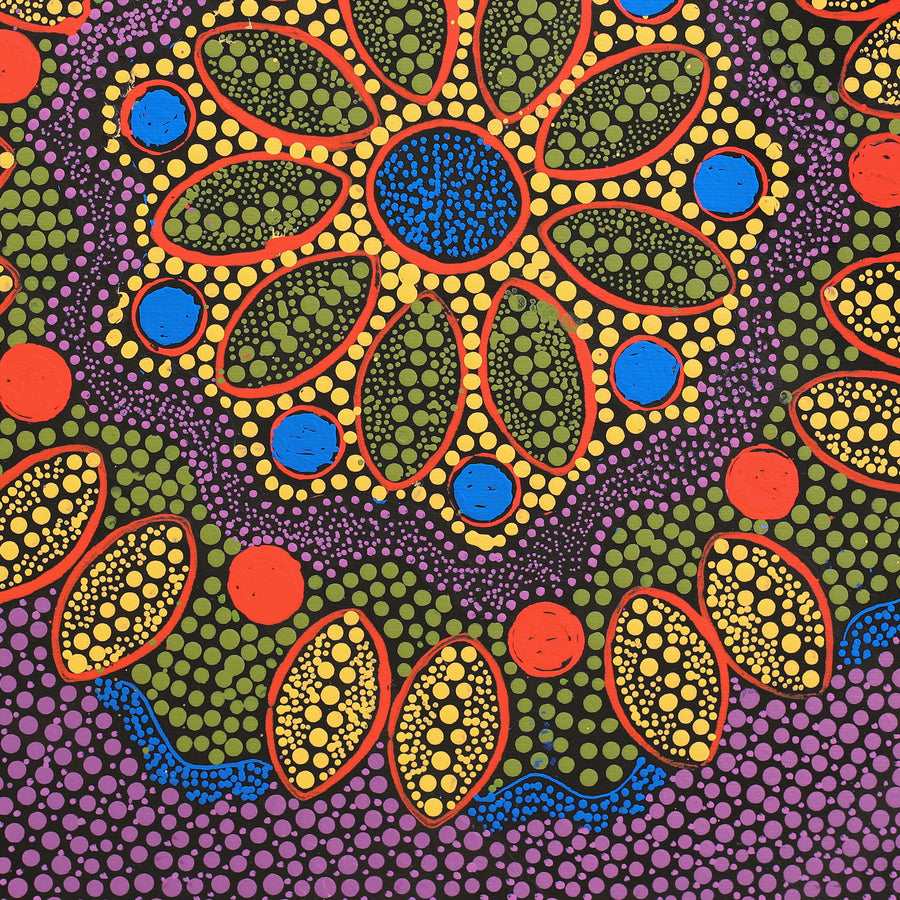 Aboriginal Artwork by Lisa Nampijinpa Cook, Yarla Jukurrpa (Bush Potato Dreaming) - Cockatoo Creek, 40x40cm