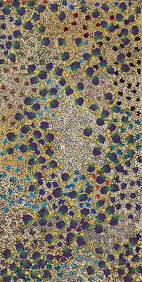 Aboriginal Artwork by Lisa Napangardi Lowe, Wanakiji Jukurrpa (Bush Tomato Dreaming), 91x46cm