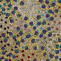 Aboriginal Artwork by Lisa Napangardi Lowe, Wanakiji Jukurrpa (Bush Tomato Dreaming), 91x46cm