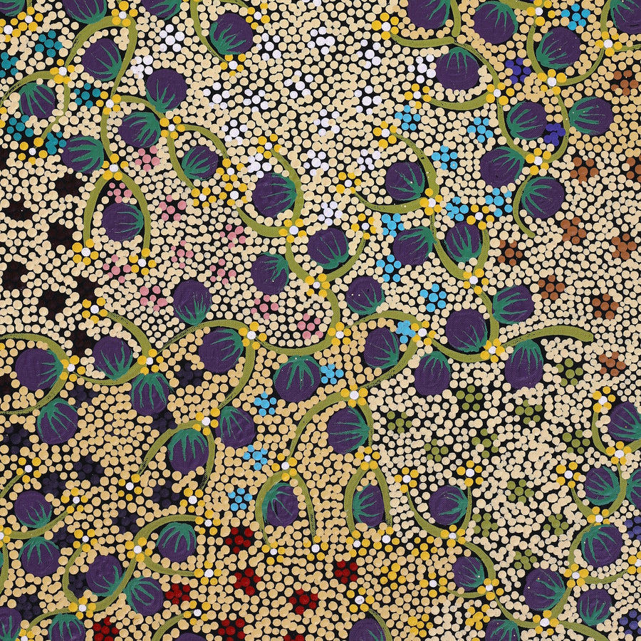 Aboriginal Artwork by Lisa Napangardi Lowe, Wanakiji Jukurrpa (Bush Tomato Dreaming), 91x46cm