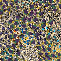 Aboriginal Artwork by Lisa Napangardi Lowe, Wanakiji Jukurrpa (Bush Tomato Dreaming), 91x46cm