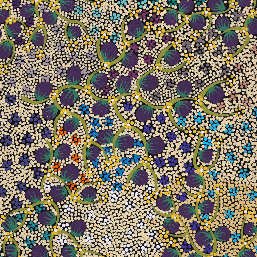 Aboriginal Artwork by Lisa Napangardi Lowe, Wanakiji Jukurrpa (Bush Tomato Dreaming), 91x46cm
