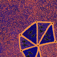 Aboriginal Artwork by Lloyd Jampijinpa Brown, Yankirri Jukurrpa (Emu Dreaming) - Ngarlikurlangu, 76x76cm