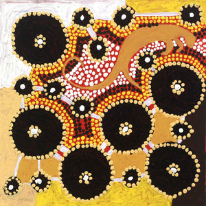 Aboriginal Artwork by Lloyd Jungarrayi Spencer, Wardapi Jukurrpa (Goanna Dreaming) - Yarripurlangu, 30x30cm - ART ARK®