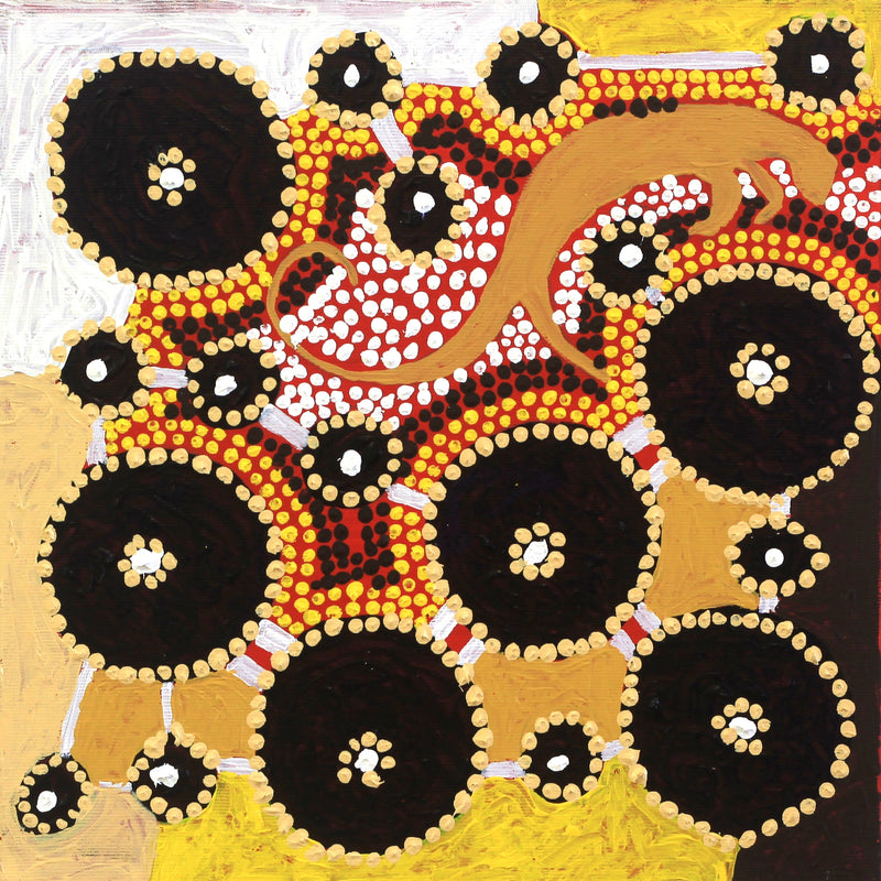 Aboriginal Artwork by Lloyd Jungarrayi Spencer, Wardapi Jukurrpa (Goanna Dreaming) - Yarripurlangu, 30x30cm