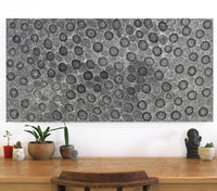 Aboriginal Artwork by Lola Nampijinpa Brown, Ngapa Jukurrpa - Mikanji, 122x61cm