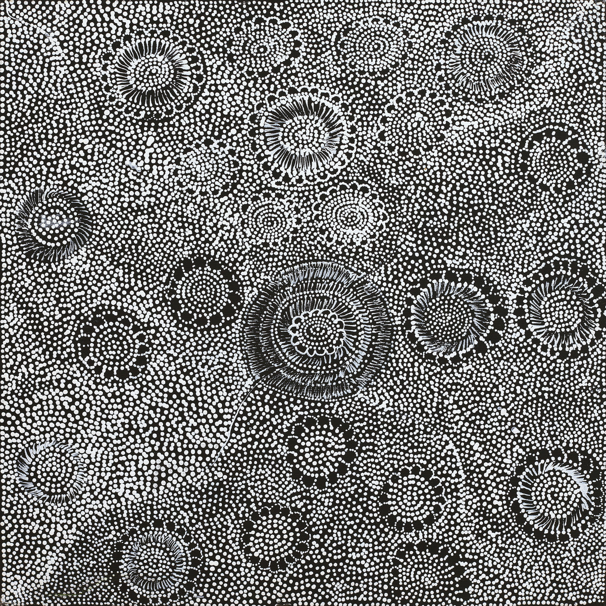 Aboriginal Art by Lola Nampijinpa Brown, Ngapa Jukurrpa - Mikanji, 40x40cm - ART ARK®