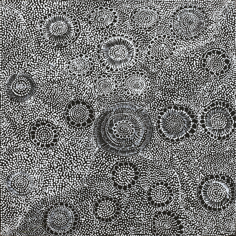 Aboriginal Artwork by Lola Nampijinpa Brown, Ngapa Jukurrpa - Mikanji, 40x40cm
