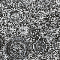 Aboriginal Artwork by Lola Nampijinpa Brown, Ngapa Jukurrpa - Mikanji, 40x40cm