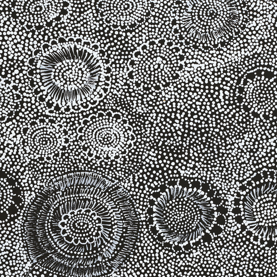 Aboriginal Artwork by Lola Nampijinpa Brown, Ngapa Jukurrpa - Mikanji, 40x40cm