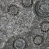 Aboriginal Artwork by Lola Nampijinpa Brown, Ngapa Jukurrpa - Mikanji, 40x40cm