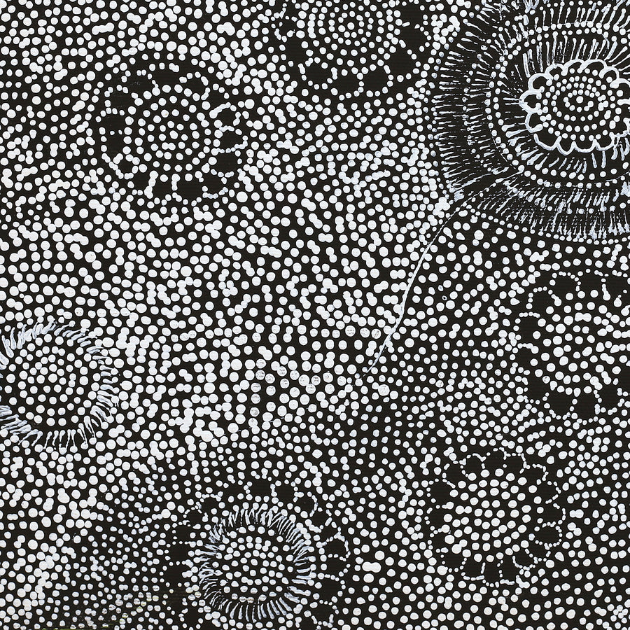 Aboriginal Artwork by Lola Nampijinpa Brown, Ngapa Jukurrpa - Mikanji, 40x40cm