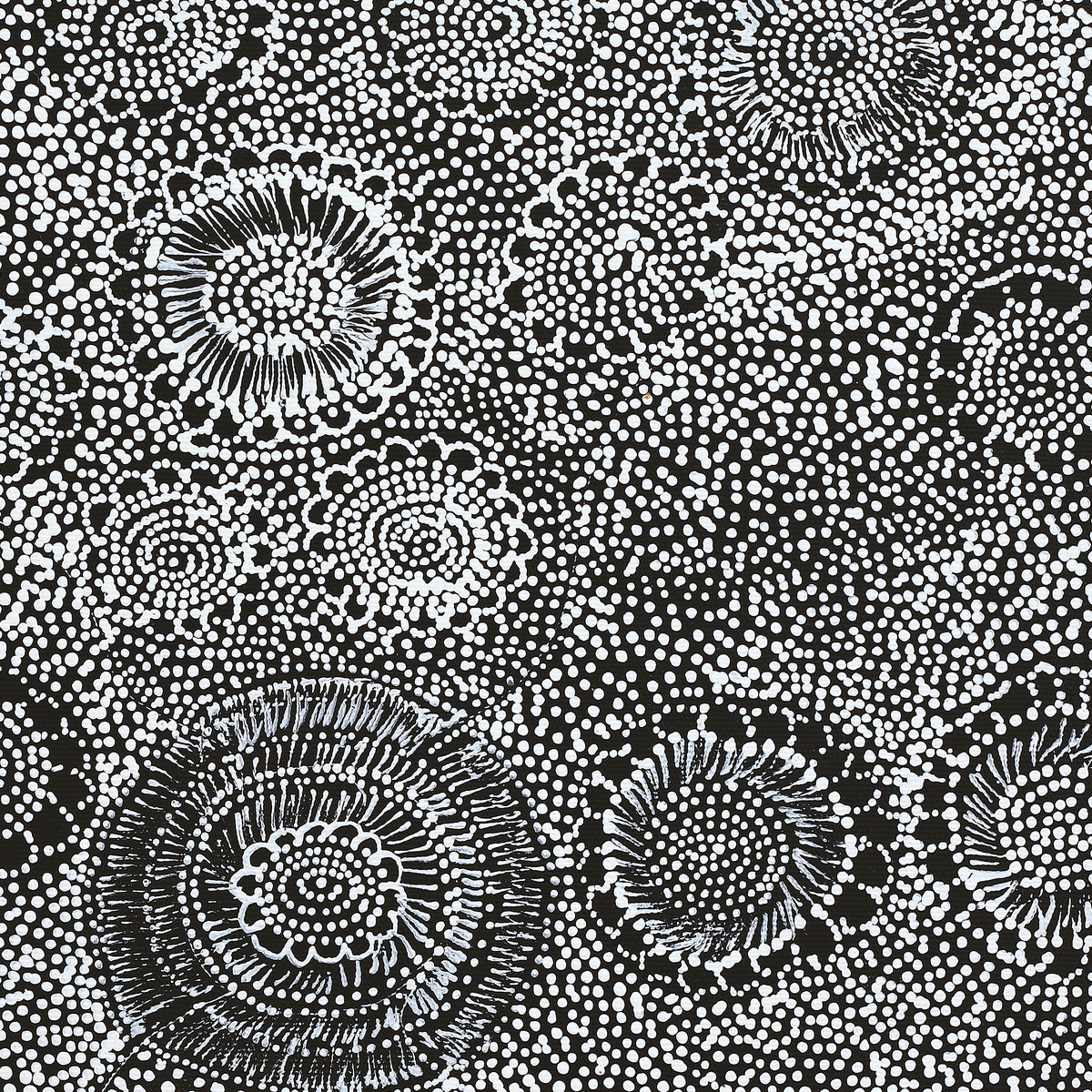 Aboriginal Art by Lola Nampijinpa Brown, Ngapa Jukurrpa - Mikanji, 40x40cm - ART ARK®