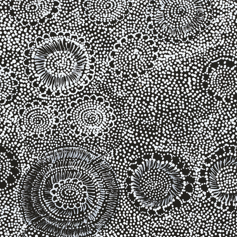 Aboriginal Artwork by Lola Nampijinpa Brown, Ngapa Jukurrpa - Mikanji, 40x40cm