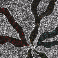 Aboriginal Art by Lola Nampijinpa Brown, Ngapa Jukurrpa - Mikanji, 122x76cm - ART ARK®