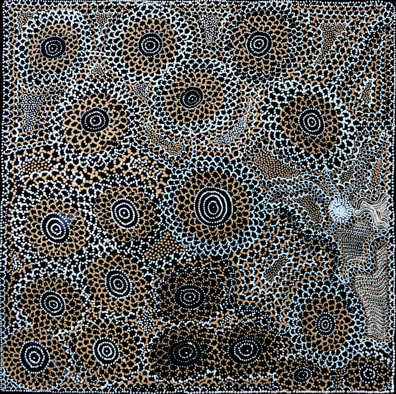 Aboriginal Artwork by Lola Nampijinpa Brown, Ngapa Jukurrpa - Mikanji, 61x61cm