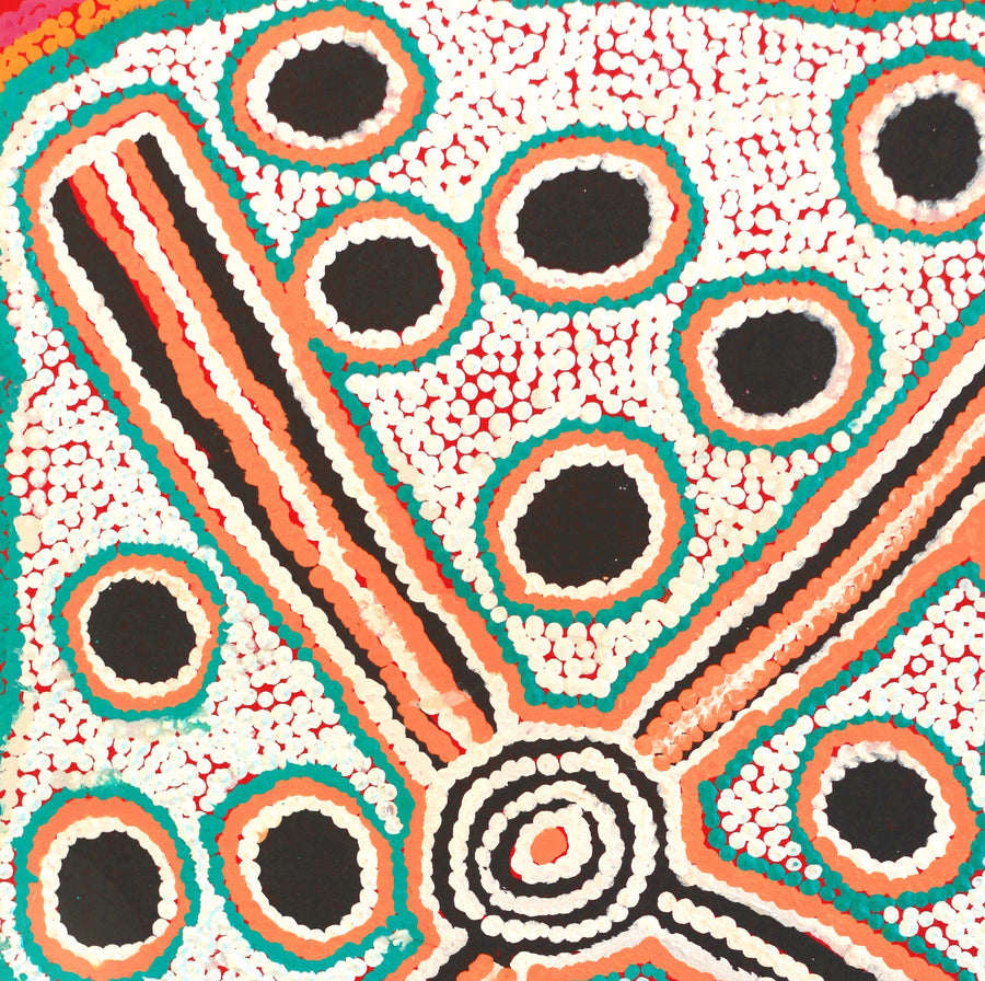 Aboriginal Artwork by Long Maggie Nakamarra White, Yinirnti Jukurrpa (Bean Tree Dreaming), 61x46cm