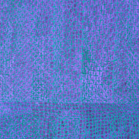 Aboriginal Artwork by Lorraine Nungarrayi Granites, Ngatijirri Jukurrpa (Budgerigar Dreaming), 152x107cm