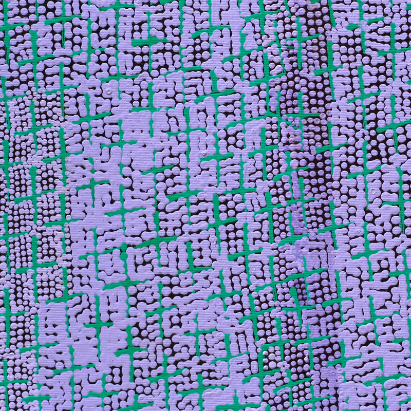 Aboriginal Artwork by Lorraine Nungarrayi Granites, Ngatijirri Jukurrpa (Budgerigar Dreaming), 30x30cm