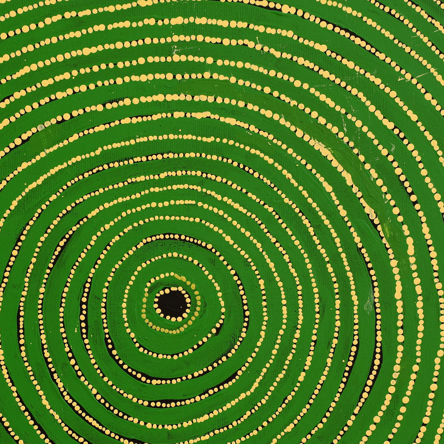 Aboriginal Artwork by Louanne Napangardi Williams, Ngurlu Jukurrpa (Native Seed Dreaming), 40x40cm
