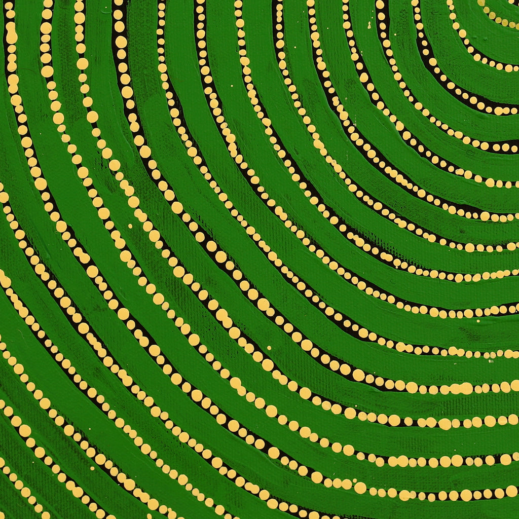 Aboriginal Artwork by Louanne Napangardi Williams, Ngurlu Jukurrpa (Native Seed Dreaming), 40x40cm